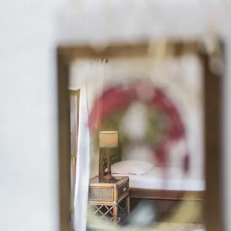 #luxlikehome - White Shell *
